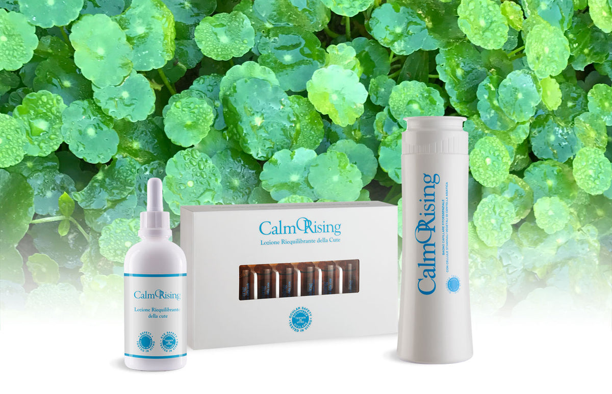 ORising CalmORising Shampoo